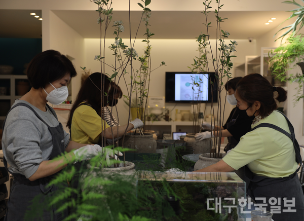 박정원 시민기자의 ‘식물 갤러리 열음’