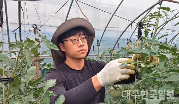 황윤환 ‘싱그러운 토마토’ 대표