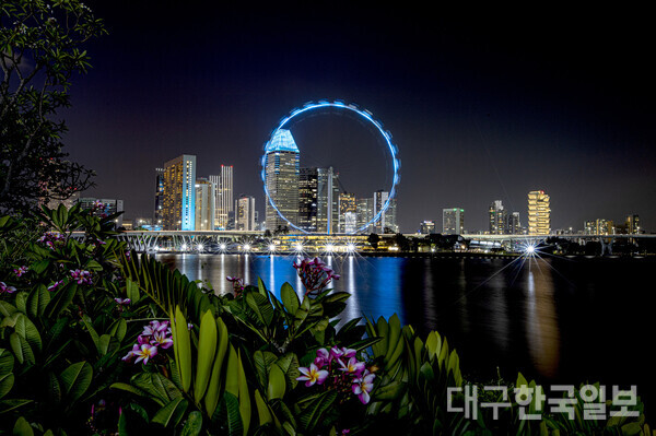 가든스 바이 더 베이에서 바라본 싱가포르 플라이어 야경.